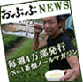 ���Ԃ�NEWS