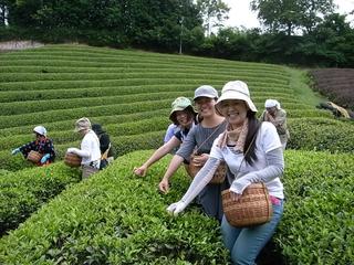 2009-07-04 11:02:57
