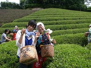 2009-07-04 11:18:53