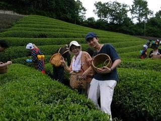2009-07-04 11:37:14