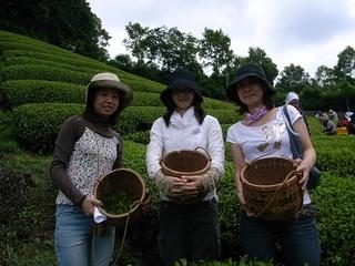 2009-07-04 11:38:31