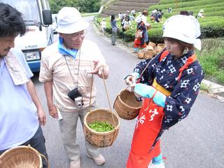 2009-07-04 11:49:31