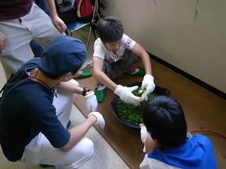 2009-07-04 14:08:43