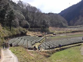 2011-03-27 10:14:35