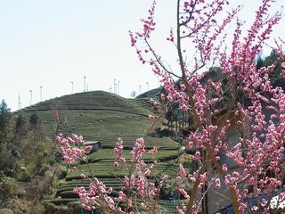 2011-04-04 13:47:46