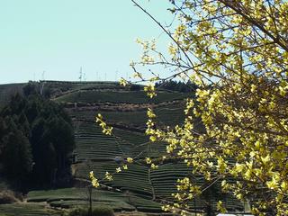 2011-04-04 13:49:21