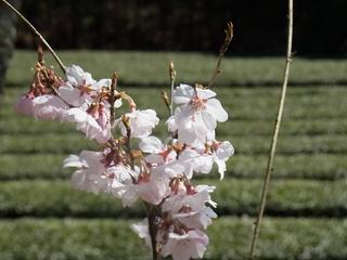 2011-04-04 14:35:28