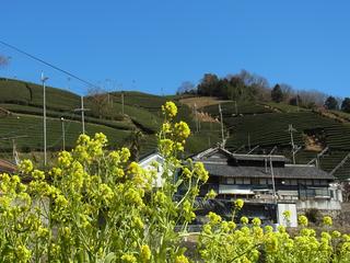 2011-04-04 14:51:47