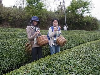 2011-04-30 11:19:55