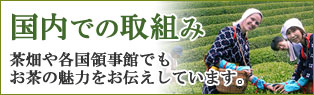 国内での取組み