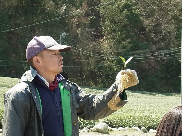 苗とオレ
